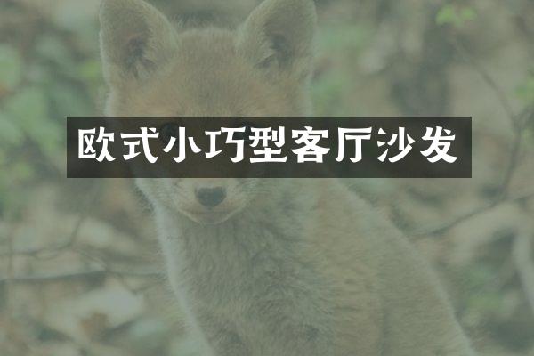 欧式小巧型客厅沙发