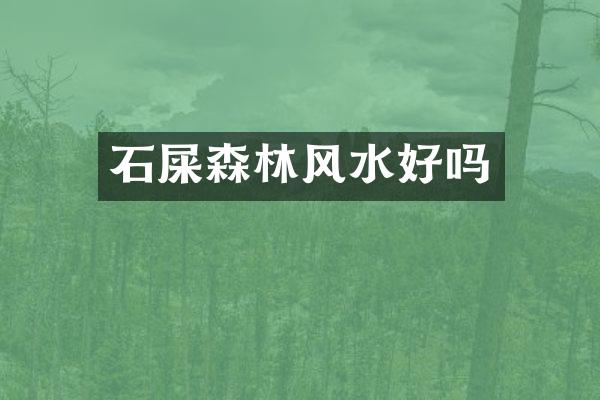 石屎森林风水好吗