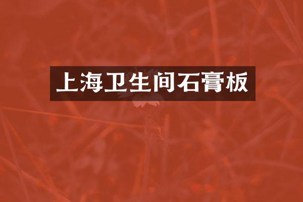 上海卫生间石膏板