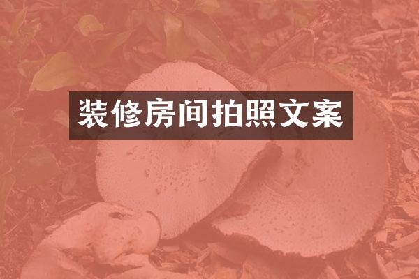 装修房间拍照文案