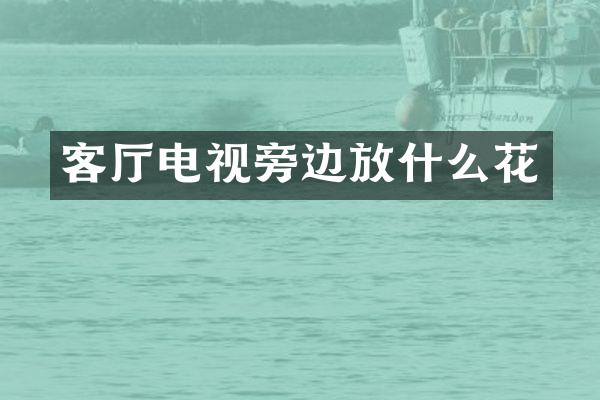 客厅电视旁边放什么花