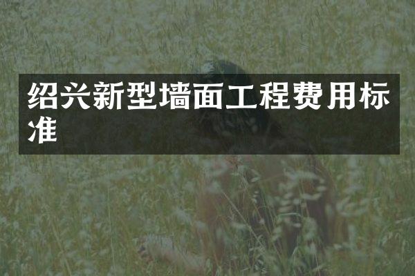 绍兴新型墙面工程费用标准