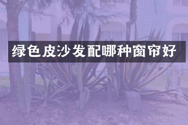 绿色皮沙发配哪种窗帘好