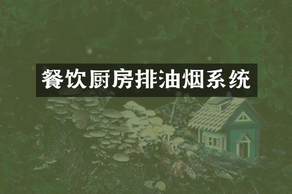餐饮厨房排油烟系统