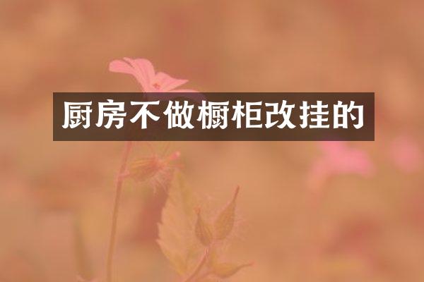 厨房不做橱柜改挂的