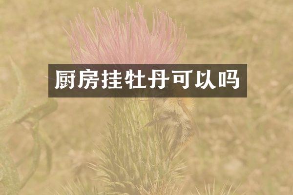厨房挂牡丹可以吗