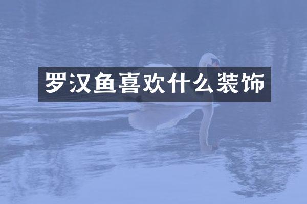 罗汉鱼喜欢什么装饰
