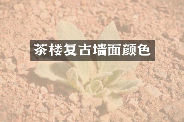 茶楼复古墙面颜色
