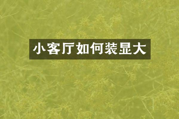 小客厅如何装显大