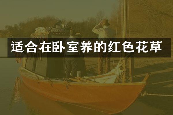 适合在卧室养的红色花草