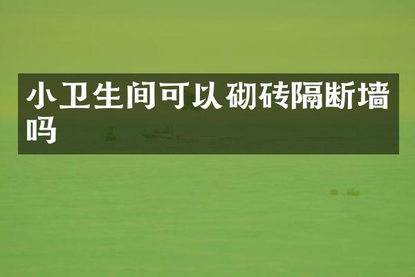 小卫生间可以砌砖隔断墙吗