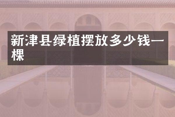 新津县绿植摆放多少钱一棵