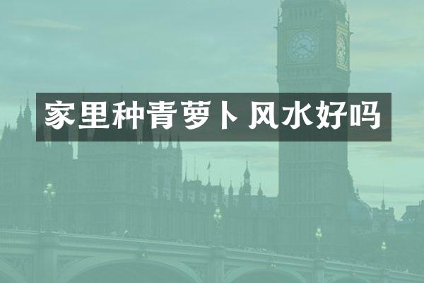 家里种青萝卜风水好吗