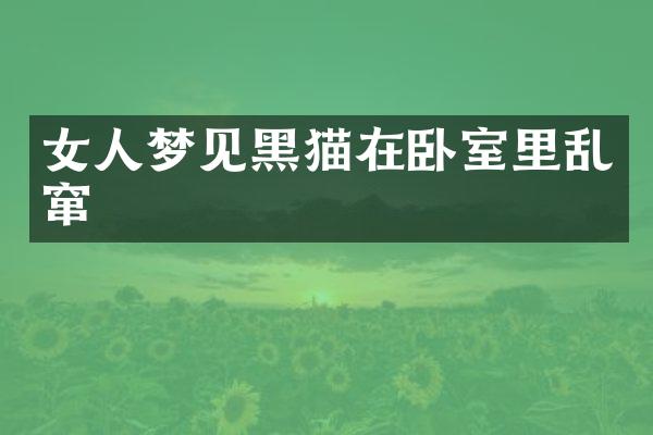 女人梦见黑猫在卧室里乱窜
