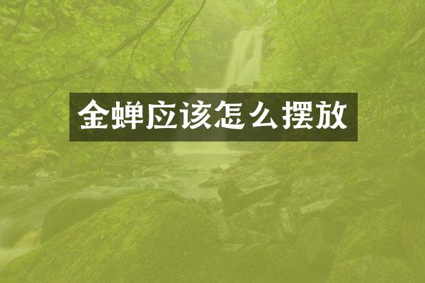 金蝉应该怎么摆放