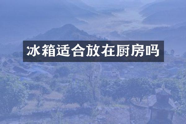 冰箱适合放在厨房吗