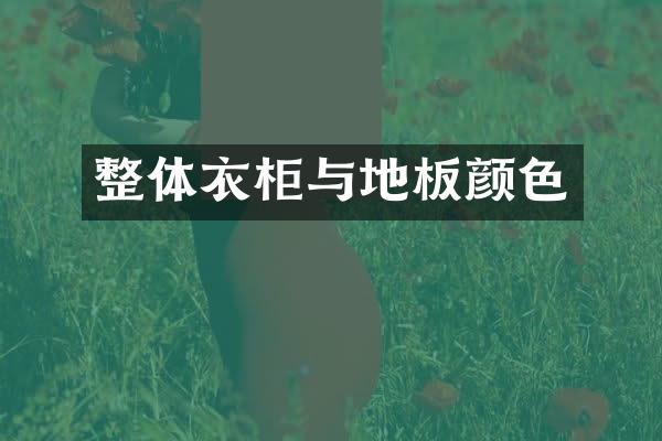 整体衣柜与地板颜色