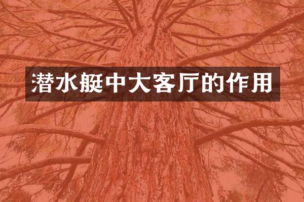 潜水艇中大客厅的作用