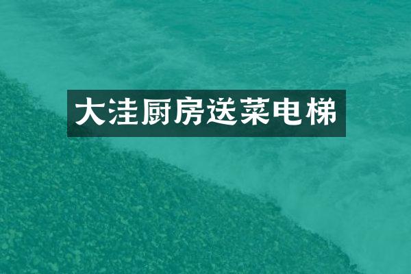 大洼厨房送菜电梯
