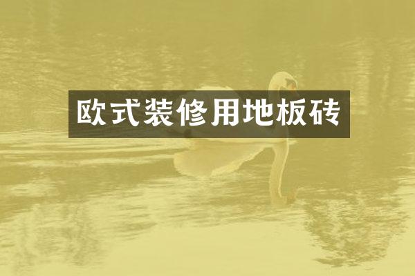 欧式装修用地板砖