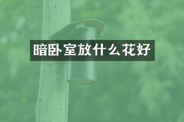 暗卧室放什么花好