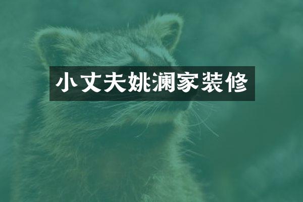 小丈夫姚澜家装修