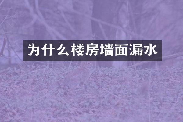 为什么楼房墙面漏水