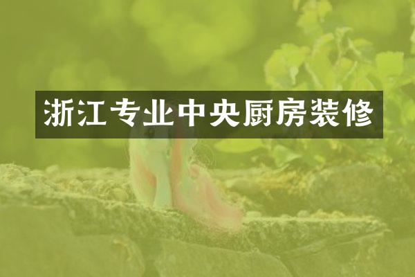 浙江专业中央厨房装修