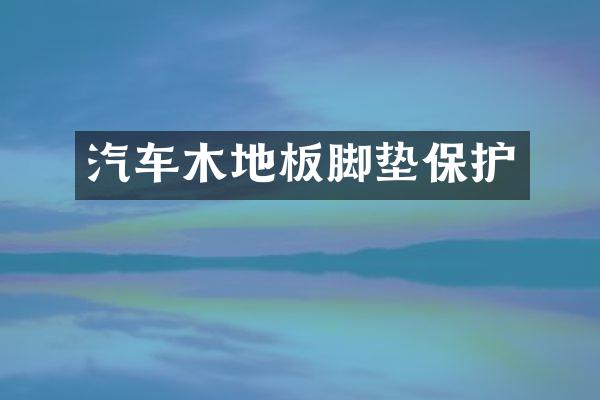 汽车木地板脚垫保护