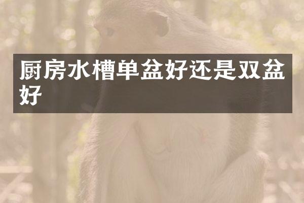 厨房水槽单盆好还是双盆好