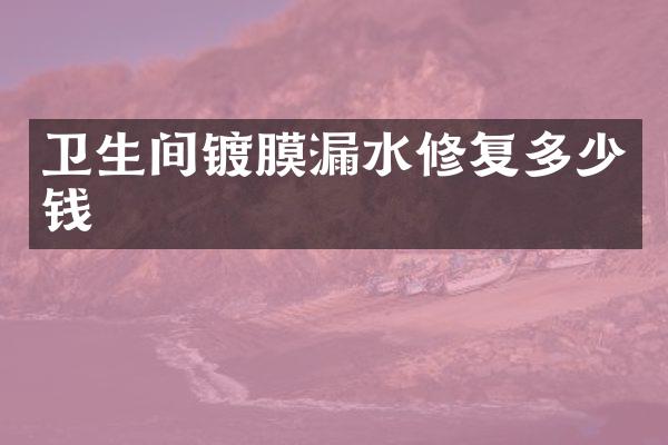 卫生间镀膜漏水修复多少钱