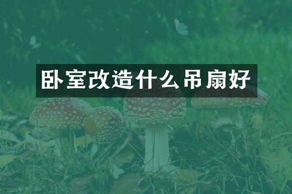 卧室改造什么吊扇好