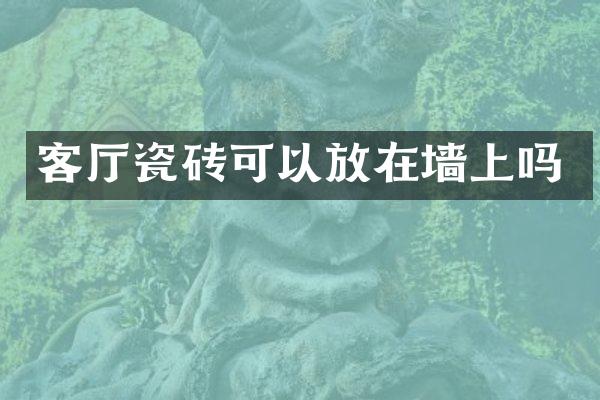 客厅瓷砖可以放在墙上吗