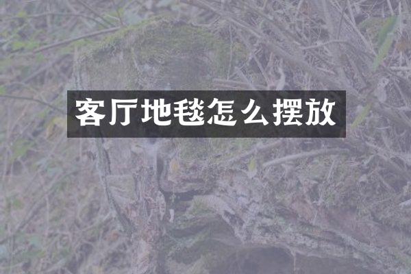 客厅地毯怎么摆放