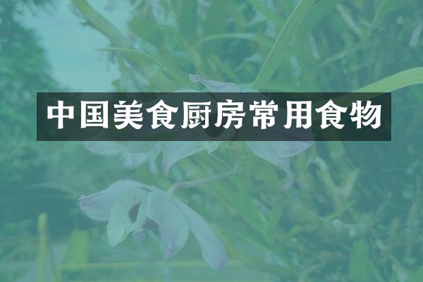 中国美食厨房常用食物