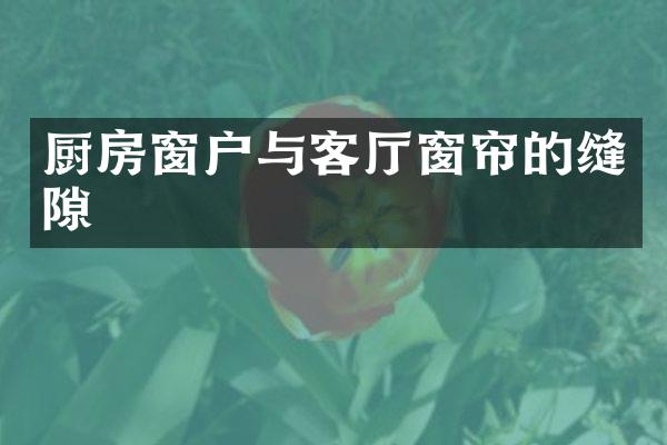 厨房窗户与客厅窗帘的缝隙