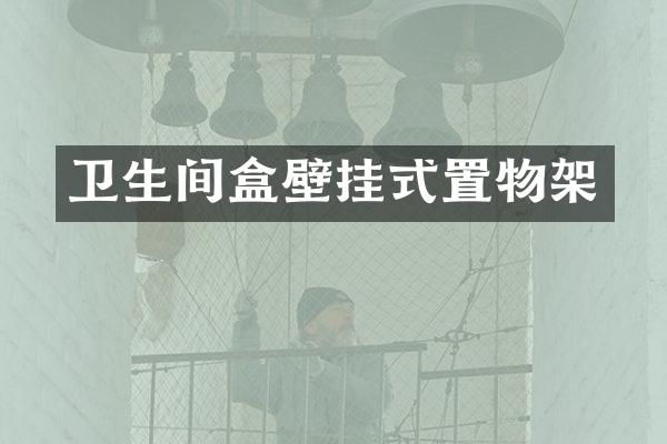 卫生间盒壁挂式置物架