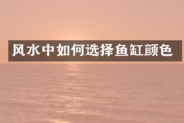 风水中如何选择鱼缸颜色