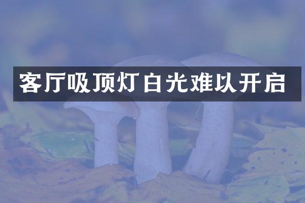 客厅吸顶灯白光难以开启