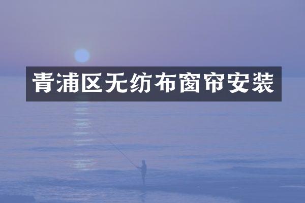青浦区无纺布窗帘安装