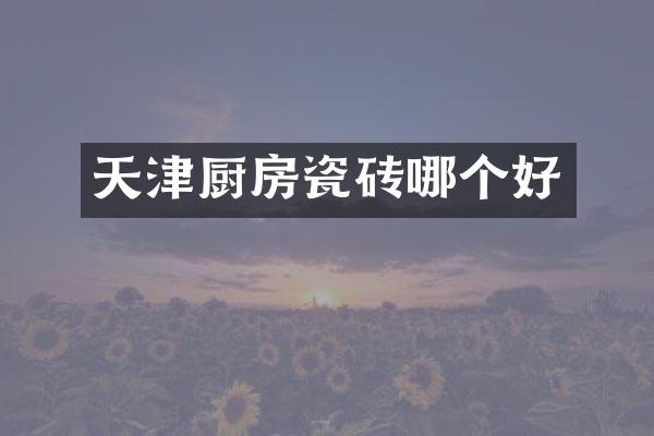 天津厨房瓷砖哪个好