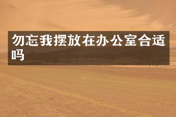 勿忘我摆放在办公室合适吗