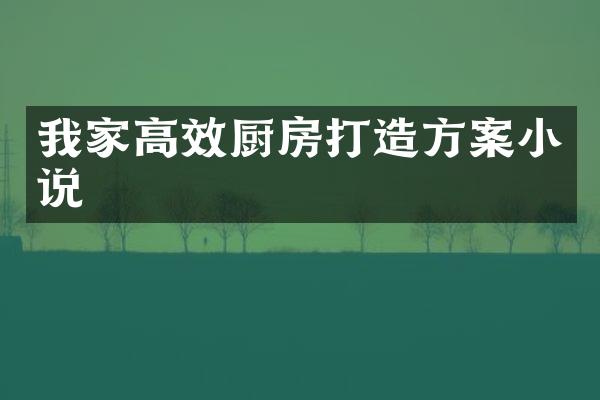 我家高效厨房打造方案小说