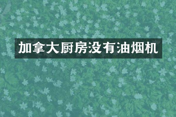加拿大厨房没有油烟机