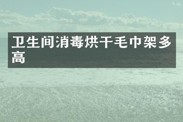 卫生间消毒烘干毛巾架多高