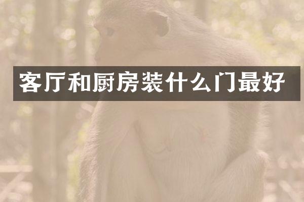 客厅和厨房装什么门最好