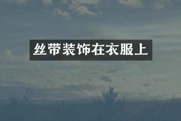 丝带装饰在衣服上