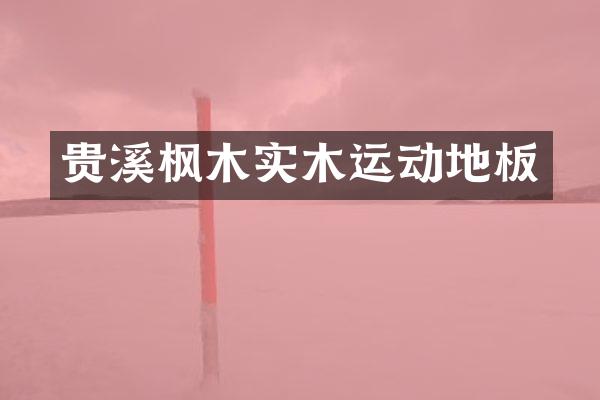 贵溪枫木实木运动地板