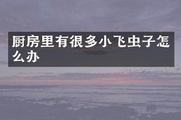 厨房里有很多小飞虫子怎么办