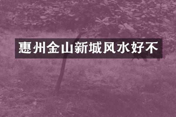 惠州金山新城风水好不